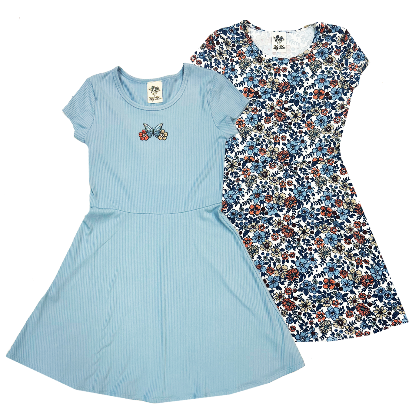 Rosie Blue Duo Dress